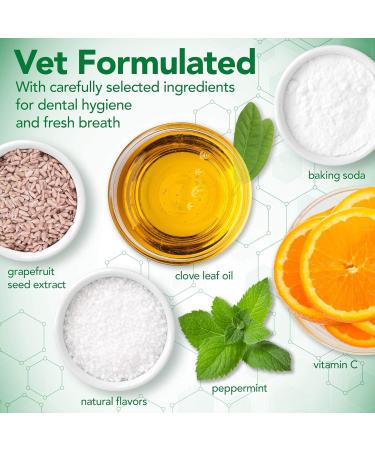 Vet s Best Dog Toothpaste Teeth Cleaning and Fresh Breath Dental Care Gel Kit - Buy Online on GoSupps.com