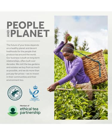  Yorkshire Tea Yorkshire Tea - Refreshing Strong English Black Tea - Responsibly Sourced - 20 Tea Bags - Buy Online on GoSupps.com