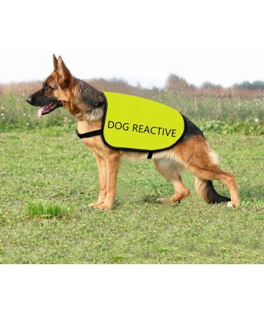 Buy Reactive Dog Jacket Vest | Dog Reactive-Medium | Warning Slogan for Safe Walks - Buy Online on GoSupps.com