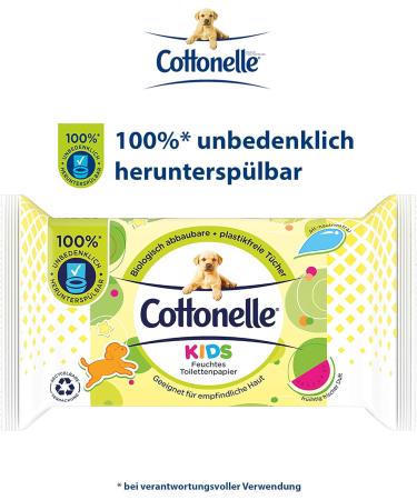 Cottonelle Kids Moist Toilet Paper - Fruity Fresh Biodegradable & Plastic-Free Advantage Pack 12x42 Wipes | Shop Internationally - Buy Online on GoSupps.com