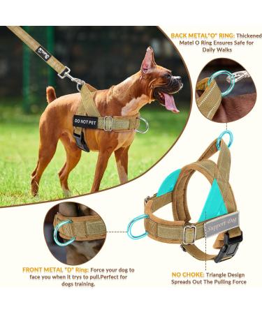 AUTOWT No Pull Dog Harness and Leash Set No Choke Escapeproof Neck & Chest Adjustable Reflective Dog Vest Harness 5.9 Ft Dog Leash Anti-Twist Pet Lead Soft Padded for Large Medium Dog(Yellow M) M Yellow - Buy Online on GoSupps.com