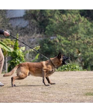 Yangbaga Dogs Shock Absorber Strong Extension Bungee Dog Leads Prevent Injury on Arm and Shoulder Suitable for Many Types of Leashes and Collars Good for Small Medium Large Dogs Black XL(For dogs 60KG) - Buy Online on GoSupps.com