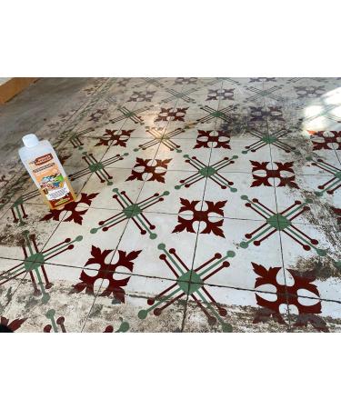 Special Degreaser for Hydraulic Mosaic 5L MONESTIR - Buy Online on GoSupps.com