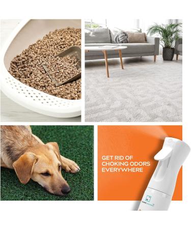Dynamic Element Pet Odour Eliminator Spray - 9 Fl Oz - Mineral Formula for Strong Odours - Carpet Smell Freshener - Unscented Remover for Dog & Cat Urine on Carpet - Buy Online on GoSupps.com