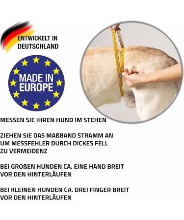 High-Quality Dog Diapers for Males - Procedure Pants 2.0 | Breathable Neoprene No Rod Threading - International Shipping - Buy Online on GoSupps.com