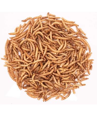 Dried Mealworms 500g 3250ml - Premium Quality Treat for Birds Hedgehogs Turtles Reptiles Fish Rodents - Buy Online on GoSupps.com