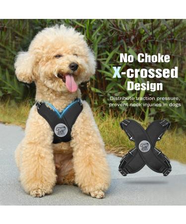 Pawaboo Dog Harness & Leash Set | X-Frame Adjustable Anti-Train Vest for Small & Medium Dogs - Breathable & Comfortable (S Black) - Buy Online on GoSupps.com