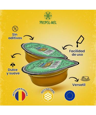 Propol-mel Polyfloral Honey in Monodoses - 20g x 60 Units | 100% Natural and Pure Honey from Romania | Sweet and Suave | Perfect for Tea Coffee Desserts and More - Buy Online on GoSupps.com