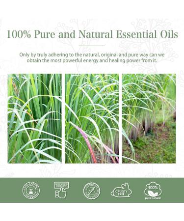 Lemongrass Essential Oil 30ML - Premium Grade Pure Oil for Diffusers - Aromatherapy and Candle Making - PHATOIL - Buy Online on GoSupps.com