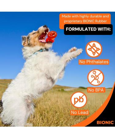 Bionic Bone Dog Toy - Durable 9.5cm Chew Toy for Aggressive Chewers - International Shipping - Buy Online on GoSupps.com