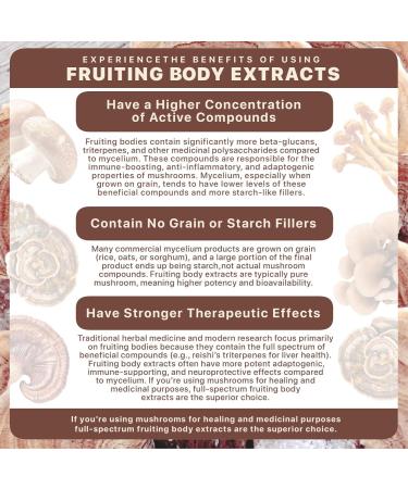 Modern Sage Herbs Mushroom & Herbal Blend Powder 1.4oz | 30 Servings | 10:1 Extract | USDA Organic | Agaricus Reishi Turkey Tail Cordyceps Maitake Astragalus | Immune Support Coffee Alternative - Buy Online on GoSupps.com