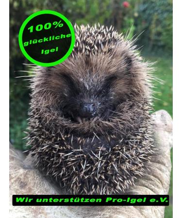 2x DBT Skills Hedgehog Ball | Magnetic High Stress Acupressure Ball for Stress Relief Massage and Enhanced Mobility - Green 32mm - Buy Online on GoSupps.com