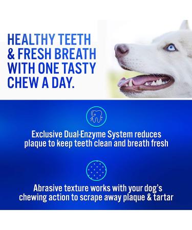 Virbac CET Enzymatic Oral Hygiene Chews for Dogs - Best Dental Care - Buy Online on GoSupps.com