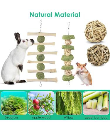 Erkoon Rabbit Chew Toys - 11-Piece Natural Apple Wood & Timothy Hay Set for Bunnies Chinchillas & Guinea Pigs - Dental Care & Fun! - Buy Online on GoSupps.com