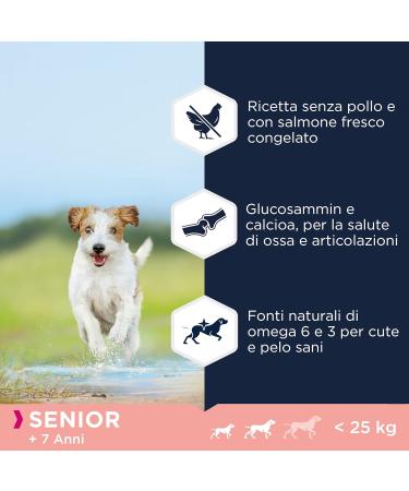 Eukanuba Dog Grain Free Senior Small Medium Breed Sea Fish 12 kg - Buy Online on GoSupps.com
