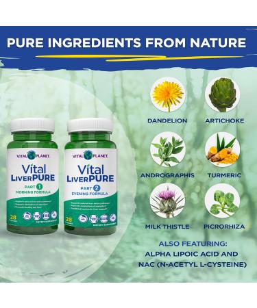 Vital Planet Vital Liver Pure Liver Cleanse Detox & Repair with Milk Thistle NAC Supplement N-Acetyl Cysteine Andrographis Dandelion Turmeric Alpha Lipoic Acid 2-Part 14-Day Kit 56 Capsules - Buy Online on GoSupps.com