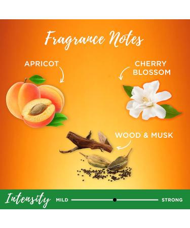 Garnier Whole Blends Moroccan Argan & Camellia Oils Shampoo 3-Pack - 12.5 Fl Oz, Silky Shine Formula - Buy Online on GoSupps.com