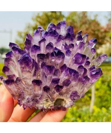 Natural Amethyst Cluster Ore Demagnetization Stone Purification Decoration Can be Used for (Size : 350-400g) ningxiao - Buy Online on GoSupps.com