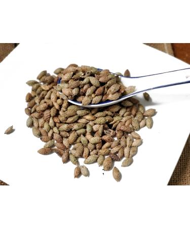 TCM Herbs USA Cang Er Zi / Fructus Xanthii / Xanthium Fruit / Cockleburr Fruit (8 oz) 8 Ounce