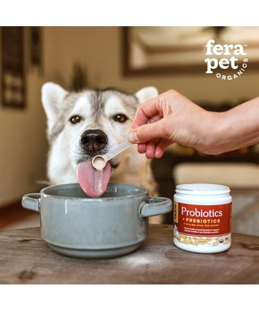 FERA Probiotics for Dogs and Cats - USDA Organic Certified - Vet Formulated - 5 Billion CFUs - Made in USA - Buy Online on GoSupps.com