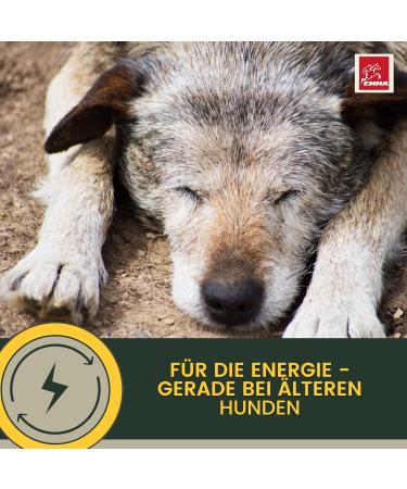 Vitamins for Dogs 100 ML Multivitamins and Minerals B Vitamins with Vitamin A B12 DE Folic Acid Iron Zinc Selenium L-lysine and Calcium Strengthens Vitality The Immune System Skin Coat - Buy Online on GoSupps.com