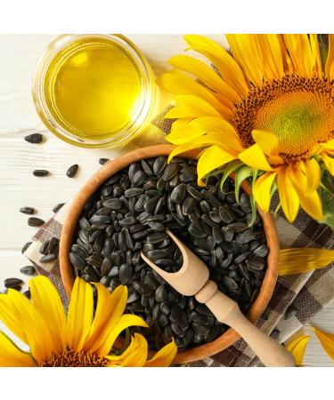 Buy Pure Original Ingredients Sunflower Seed Oil - Vegan & Non-GMO 16 oz Clear Bottle - International Shipping Available - Buy Online on GoSupps.com