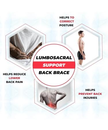 MAXAR Economy Work Belt - Adjustable Industrial Lumbosacral Support Back Brace Breathable Mesh 8" Wide Double Pull Black (Large) - Ship Worldwide - Buy Online on GoSupps.com