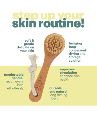 Dry Brushing Face Brush by Afterspa | Exfoliating Vegan Facial Scrubber | Gentle & Cruelty-Free Skincare Tool - Buy Online on GoSupps.com