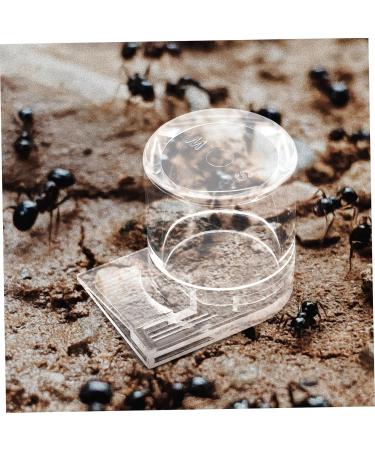 Yardwe Pet Water Feeder Ant Waterer Ant Bowl Ants Food Dispenser Ant Water Feeders Plastic Transparent - Buy Online on GoSupps.com