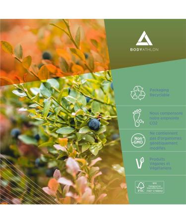 Vitex Agnus Castus Chattara +6 Ingredients- 180 Capsules SPM Female Hormonal Balance Female Ginger Saffron Magnesium Iron Vitamins B6 and C- Bodyathlon - Buy Online on GoSupps.com