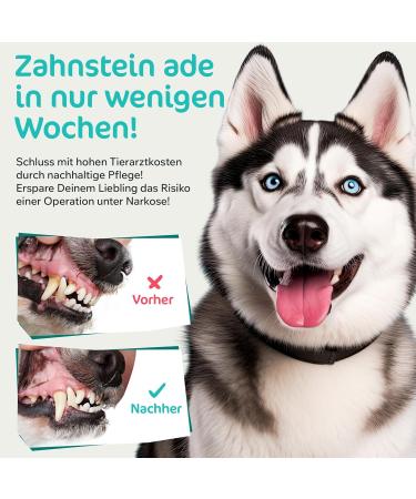 Powerpets Dental Spray & Free Finger Toothbrush for Dogs & Cats - 100% Natural Muzzle Tartar Remover & Tooth Cleaning Spray | Liver Sausage Flavor - Buy Online on GoSupps.com