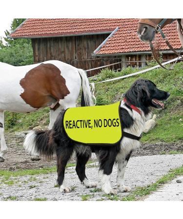 Reactive Dog Jacket Vest Reactive No Dogs Dog Slogan Vest Social Distancing Gift (Reactive No Dogs-Large) - Buy Online on GoSupps.com