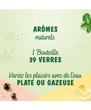 Teisseire Lemon Syrup for Refreshing Drink Cocktails Recyclable Bottle 6x60cl - Buy Online on GoSupps.com