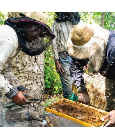 Ilanga Nature - Cactus Honey | From Madagascar | 250gr - Buy Online on GoSupps.com