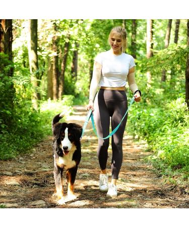 Vivaglory Traffic Handle Dog Leash - Padded Reflective & Strong Metal Hook - 1.2m x 2.5cm - Turquoise | International Shipping Available - Buy Online on GoSupps.com