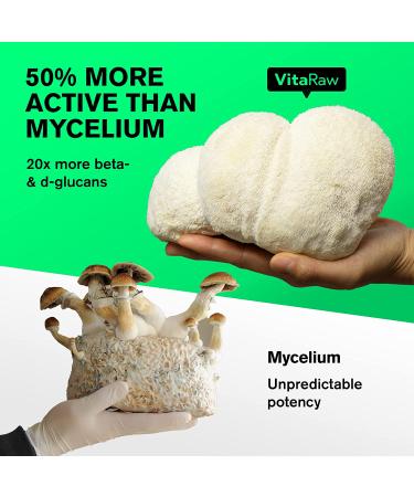 Lions Mane Mushroom Capsules - Powerful Nootropic for Brain Support & Focus - 100 Fruiting Bodies - Memory & Energy Booster - Buy Online on GoSupps.com