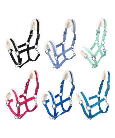RL24 - Halter with plush padding BASICLINE in 6 colors Shetland Pony Thoroughbred Warmblood Black Warmblood