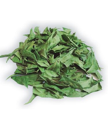 Ceylon Rustic Savour Dried Neem Leaves 1OZ Naturally Grown air dried neem leaves (28g) - Buy Online on GoSupps.com