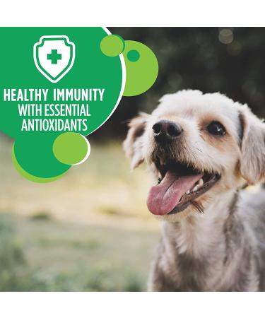 Iams Small Breed Adult Dry Dog Food Chicken 7lb - Premium Quality Nutrition for Small Dogs - Buy Online on GoSupps.com