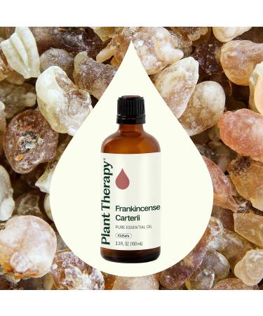 Plant Therapy Frankincense Carterii Essential Oil 100% Pure Undiluted Natural Aromatherapy Therapeutic Grade 100 mL (3.3 oz) Unscented 1 Fl Oz (Pack of 1) - Buy Online on GoSupps.com