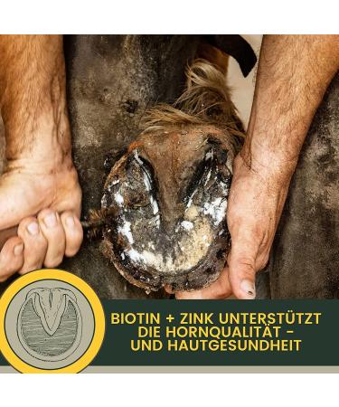 Mineral feed for horses biotin zinc selenium brewer's yeast nutritional supplement for horses with manganese and magnesium + amino acids vitamin B complex coat changer - Buy Online on GoSupps.com