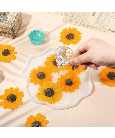 24 Pcs Real Dried Sunflower Petals for Resin Jewelry Making - Yellow Sunflower Pressed Flowers for DIY Art & Craft - Buy Online on GoSupps.com