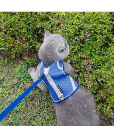 Cat Leash with Dishes - Reflective Patrols & Breakout Safety for Cats | International Shipping - Buy Online on GoSupps.com