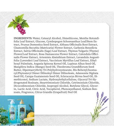 Moist Diane Natural Hair Treatment | Organic Japanese Conditioner for Dry & Damaged Hair | Sulfate & Silicone Free | 16.9 Fl Oz - Buy Online on GoSupps.com