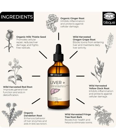 Blisque Liver Complex Supplement - Detox, Cleanse & Repair | Doctor-Approved | Natural Ingredients | Milk Thistle & Dandelion Root | 2oz, 59 Servings - Buy Online on GoSupps.com