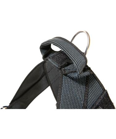 Julius-K9 Belt Harness M/0 Black-Grey | Durable Comfortable Dog Harness for All Breeds | International Shipping Available - Buy Online on GoSupps.com