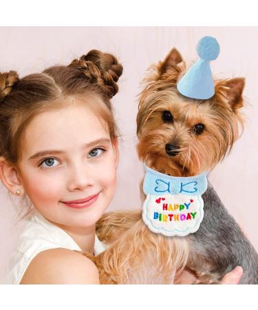 Blue Dog & Cat Birthday Bandana Set | Happy Birthday Pet Party Hut & Decorations - Buy Online on GoSupps.com
