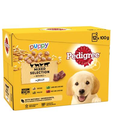 Pedigree Junior Wet Dog Food for Young Dogs and Puppies 12 Pouches (12 x 100 g) 100 g (Pack of 12)