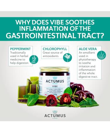 Vibe Organic Stomach Relief Powder | Heartburn & Inflammation Aid | 150g Cherry Flavor - International Shipping Available - Buy Online on GoSupps.com