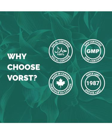 VORST Ginkgo Biloba Extract 50:1 60mg (3000mg raw herb) 3 X 90 Capsules | Supplement for Cognitive Function Eye Health Memory Retention & Brain Concentration Boost | Powder Pills | 3 Bottles 270 count (Pack of 1) - Buy Online on GoSupps.com